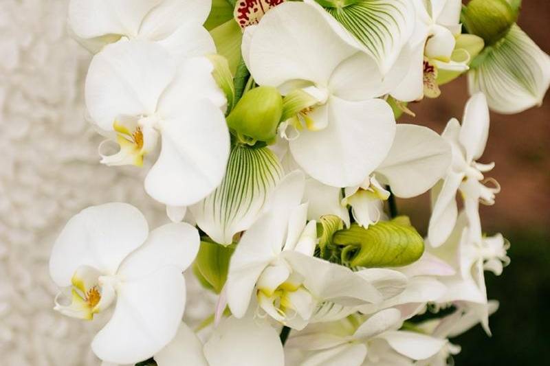 Waterfall orchid bouquet