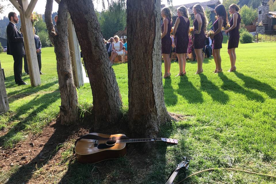 Guitar by the tree