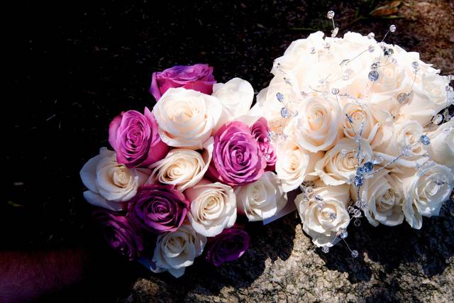 Pellegrino Photography