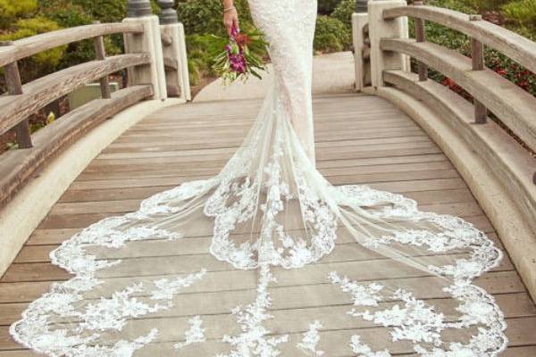 New York Lace - Dress & Attire - Taunton, MA - WeddingWire