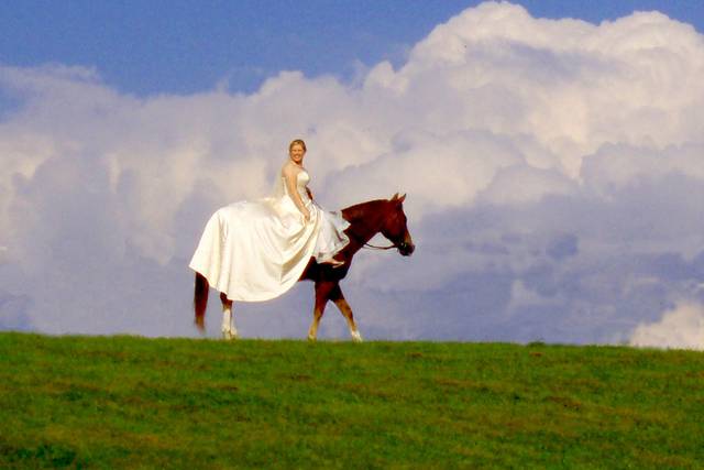 Bride on Horseback