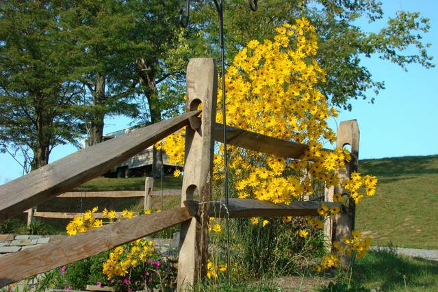 Scenic Farm Area
