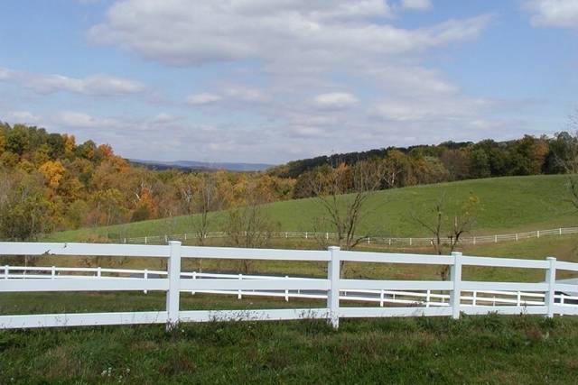 Country Wedding View