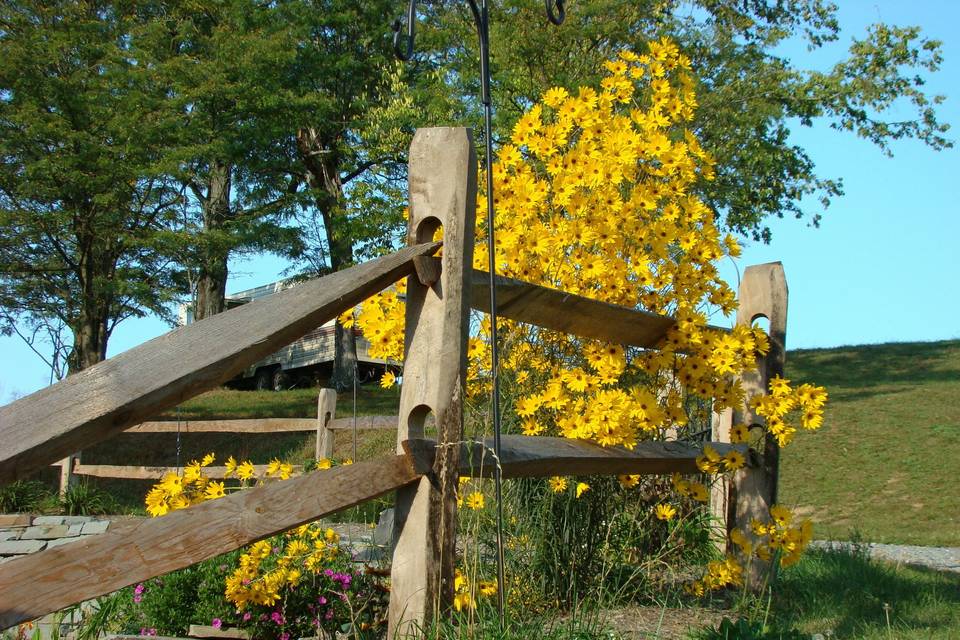 Charming Creek Farm