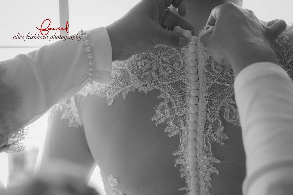 ALICE FRISHKORN PHOTOGRAPHY