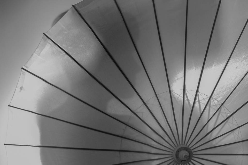 ALICE FRISHKORN PHOTOGRAPHY