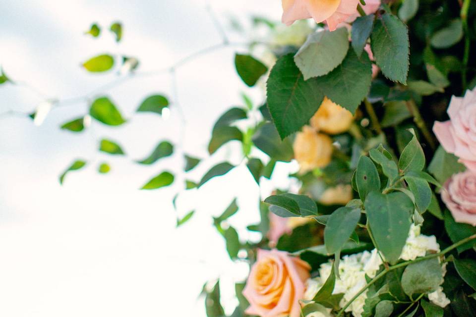 Peach Blush Elopement