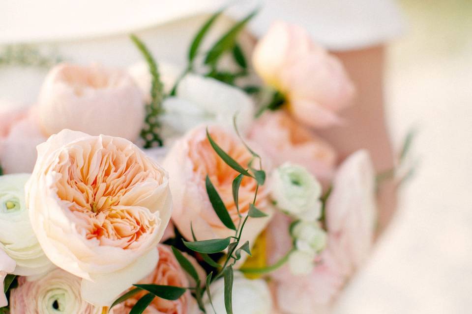 Peach Blush Elopement