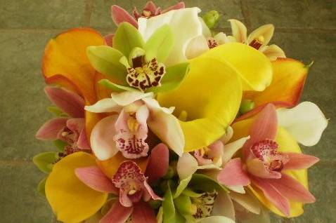 Orchids in Multi Color and Beautiful Tropical Calla in Mango and Yellow create the Paradise Found Bouquet