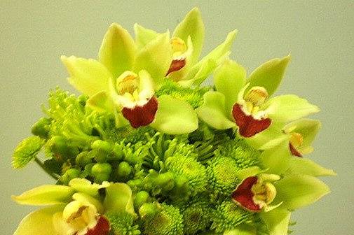 Green Orchids Button Mums and Berries Accented With Big Fuji Mums
