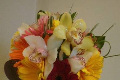 Tropical Colored Gerbera and SeaGrass mixed with Cymbidium Orchids In A Hand Held Stlye  Perfect For A Keys Beach Wedding