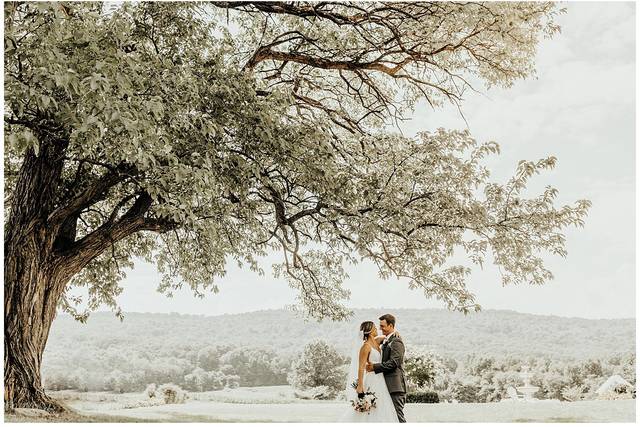Springton Manor Wedding