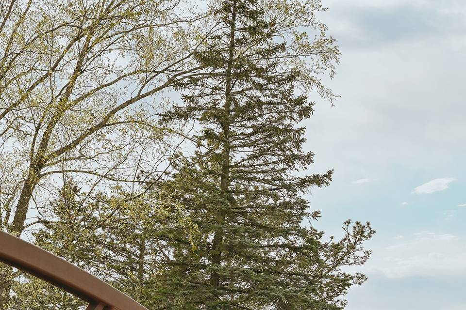 Wedding photo in Madison, WI