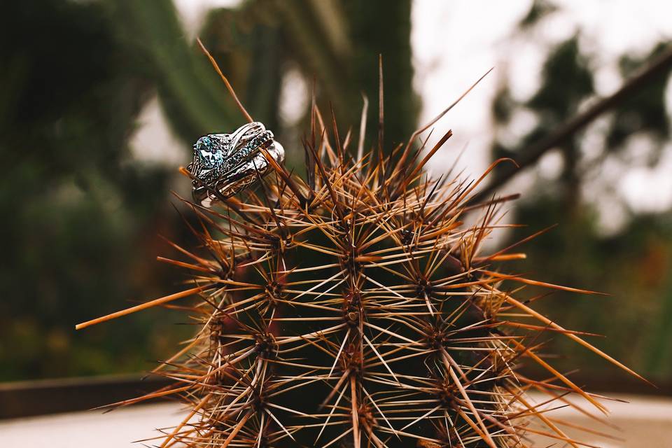 Ring on cactus