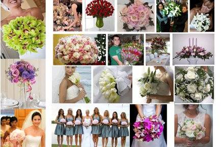 800ROSEBIG Wholesale Wedding Florist