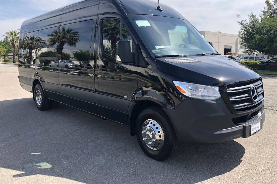 12-14 passenger Sprinter