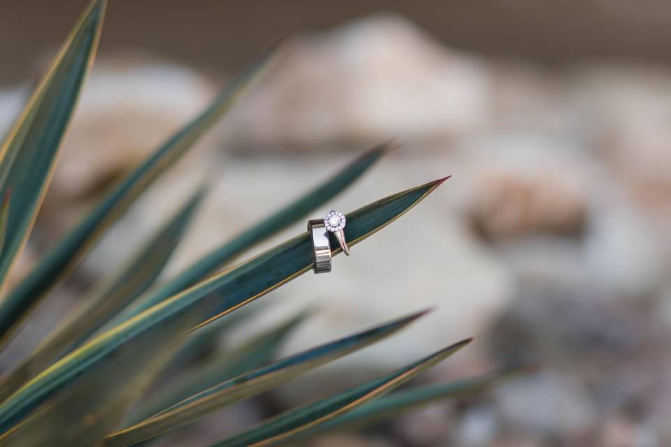The rings