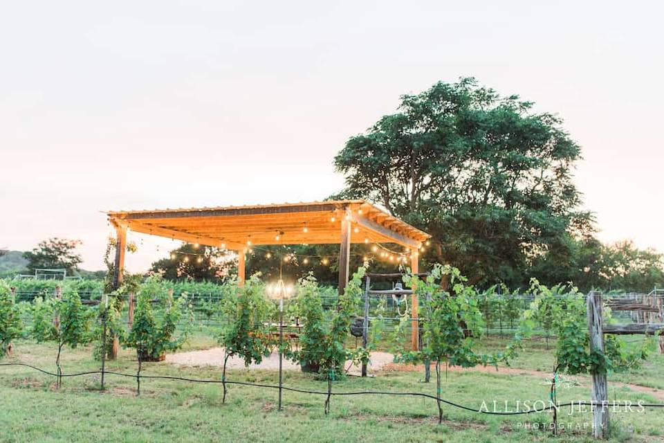 Vineyard Hideaway