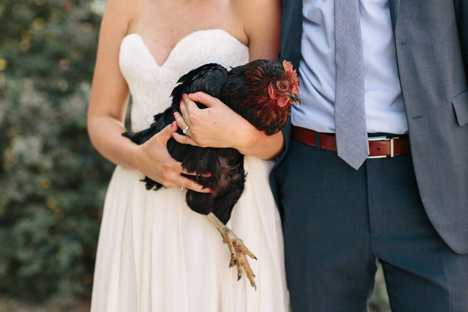 Bohemian wedding bride and groom with chicken at Lyons Farmette.
