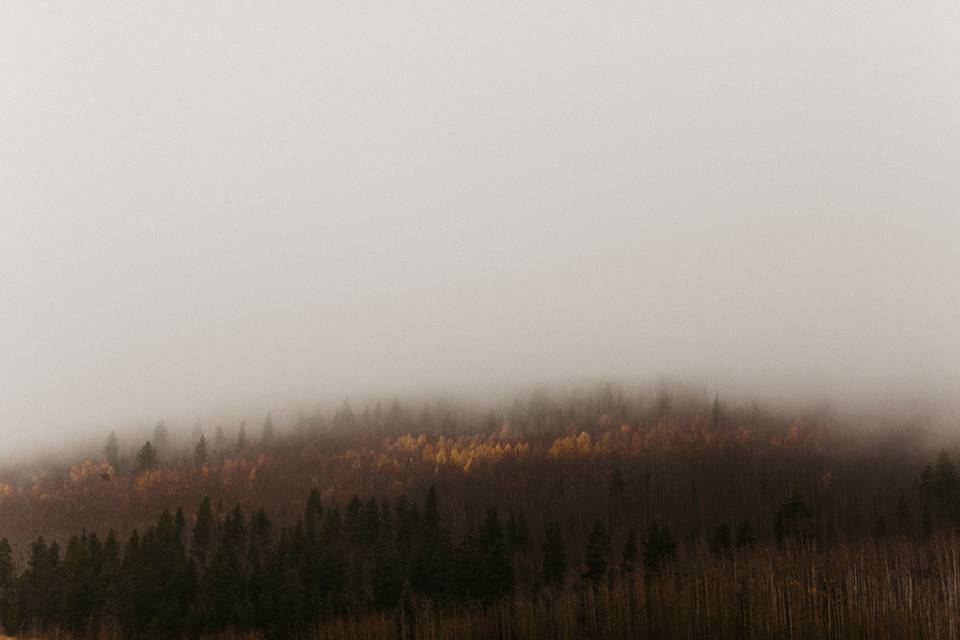 Alex Priebe Photography
