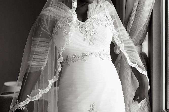 Veils by MS