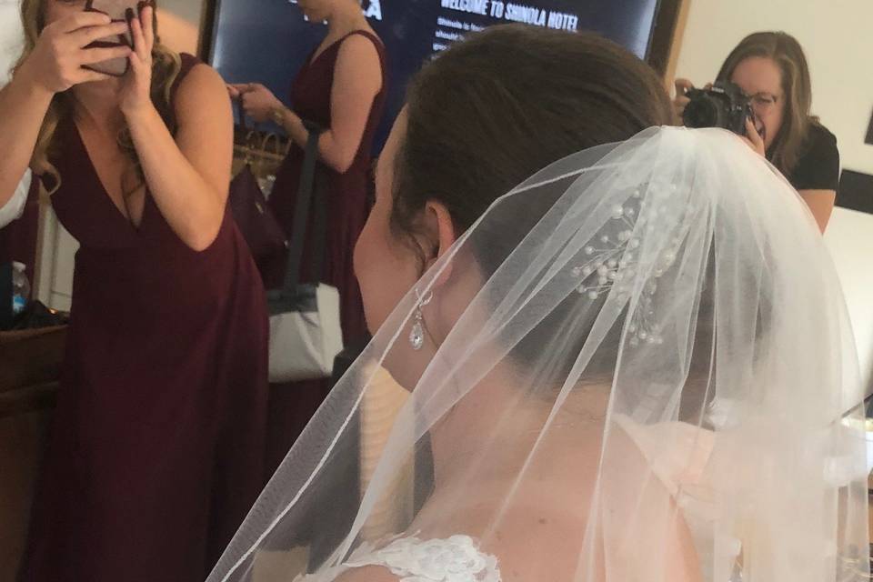 Bridal veil and headpiece