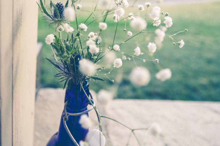 White Bison Weddings