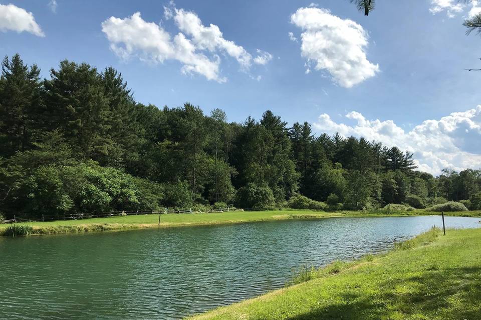 Lake Shenanigans