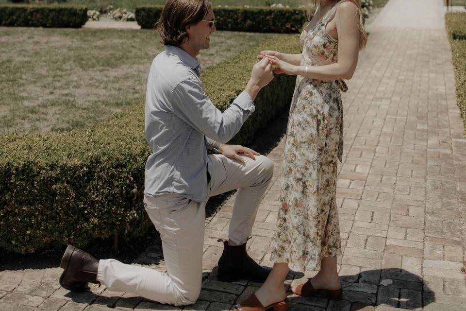 Proposal