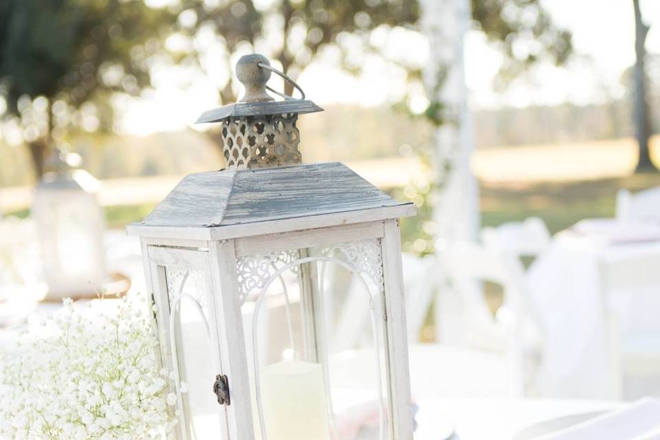 Southern Belle Wedding and Event Rentals