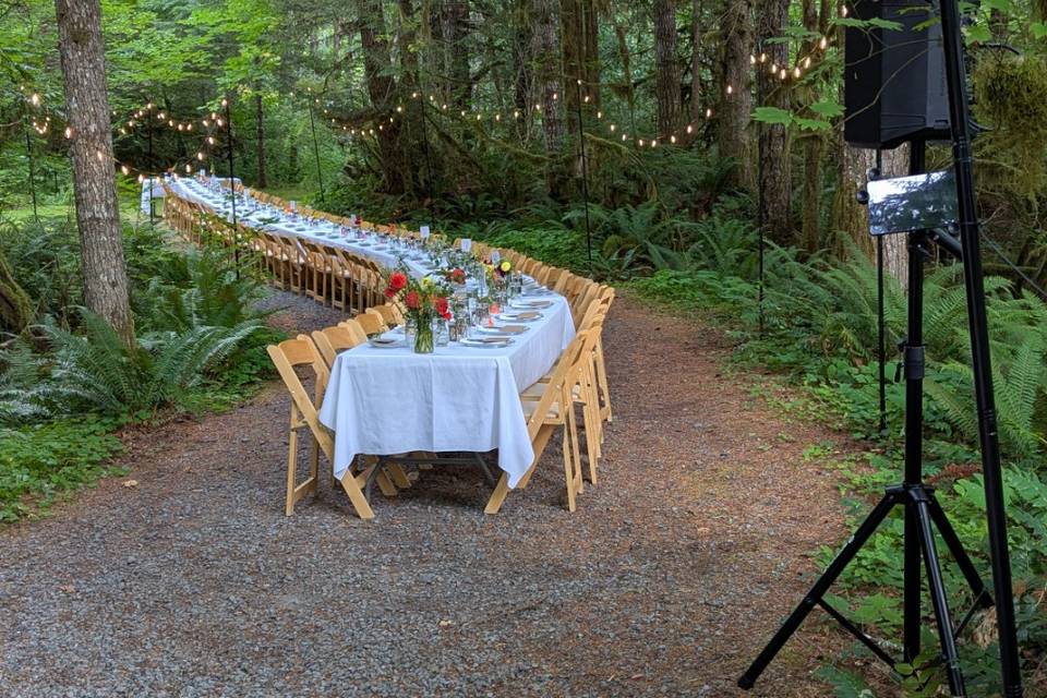 Wedding in woods