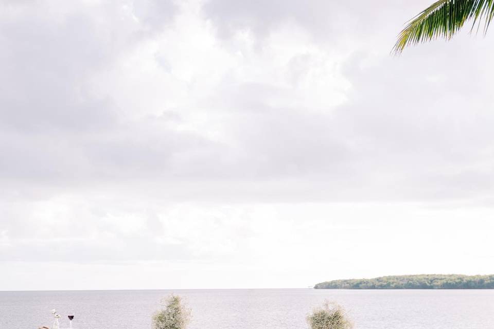 Baby's breath reception