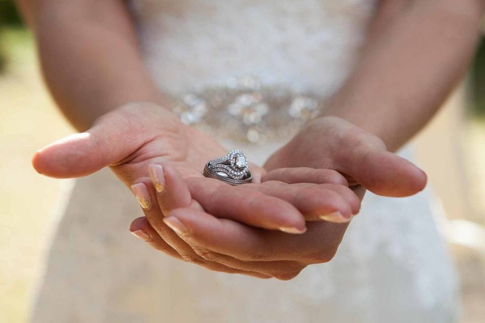 Jeanette Warner Photography
