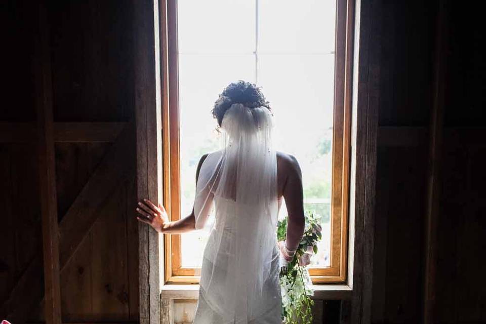 Jeanette Warner Photography
