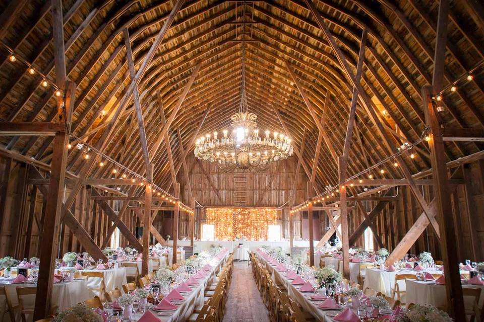 Jeanette Warner Photography