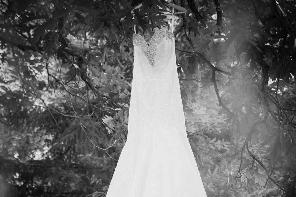 Jeanette Warner Photography