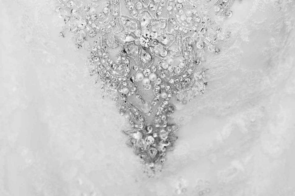 Jeanette Warner Photography