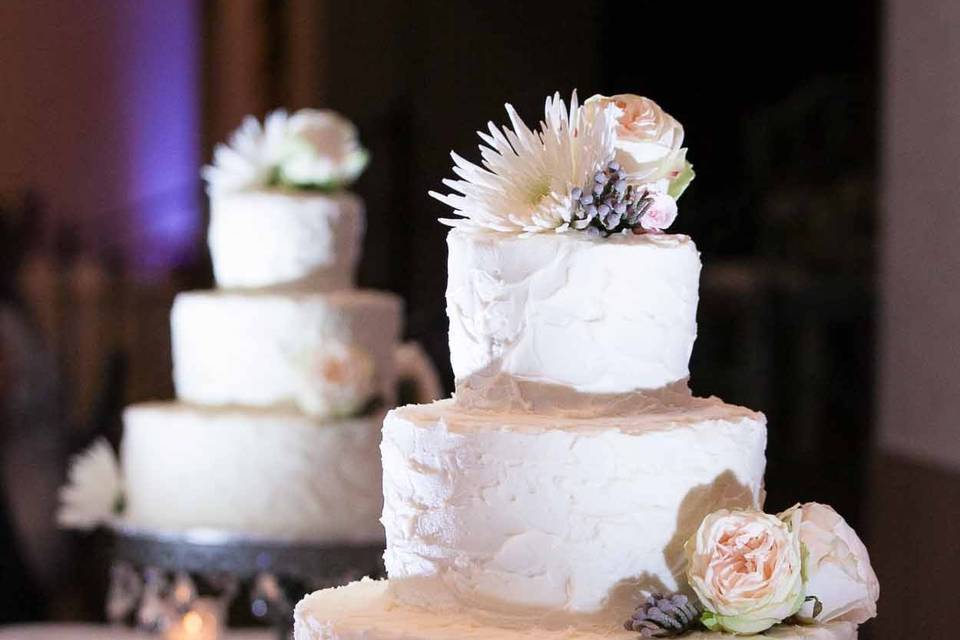 Jeanette Warner Photography