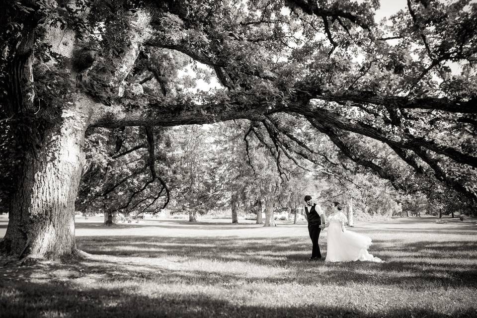Oak Tree Wedding Couple