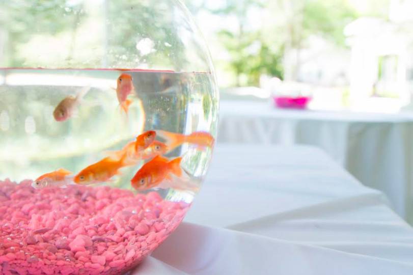 Fishbowl table centerpiece