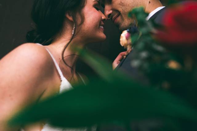 Trevor Lovatto Photography