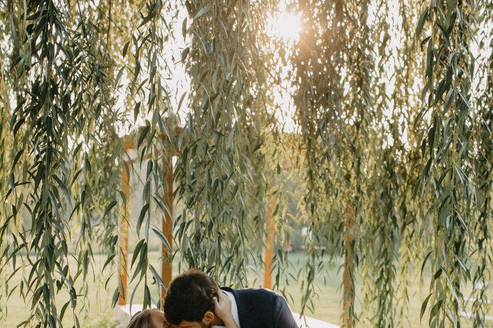 A Kiss Under the Willow Tree