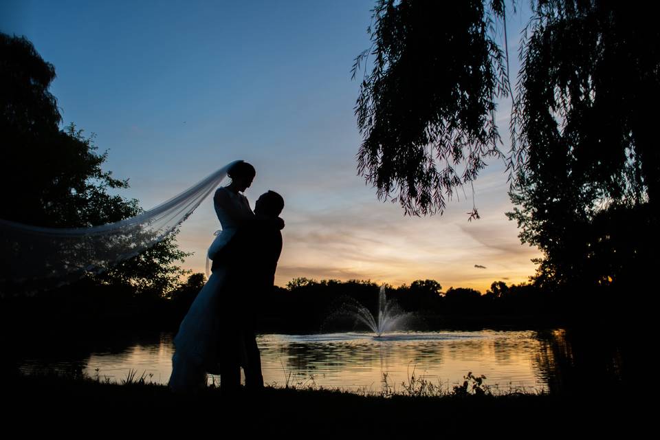 Under the willow tree