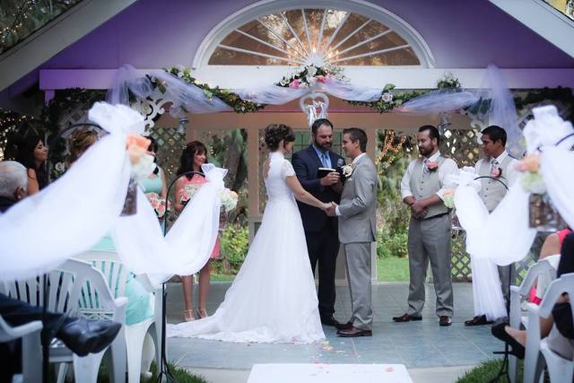 The bride with her bridesmaids