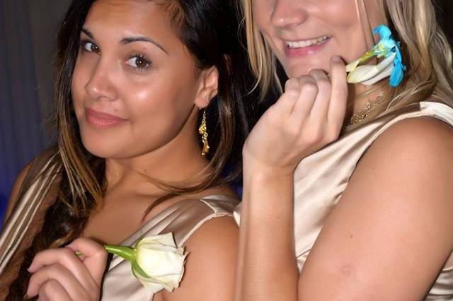 HitchMe Weddings