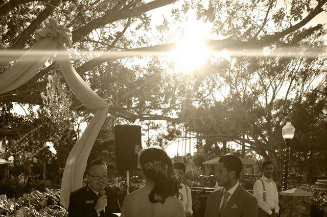 HitchMe Weddings