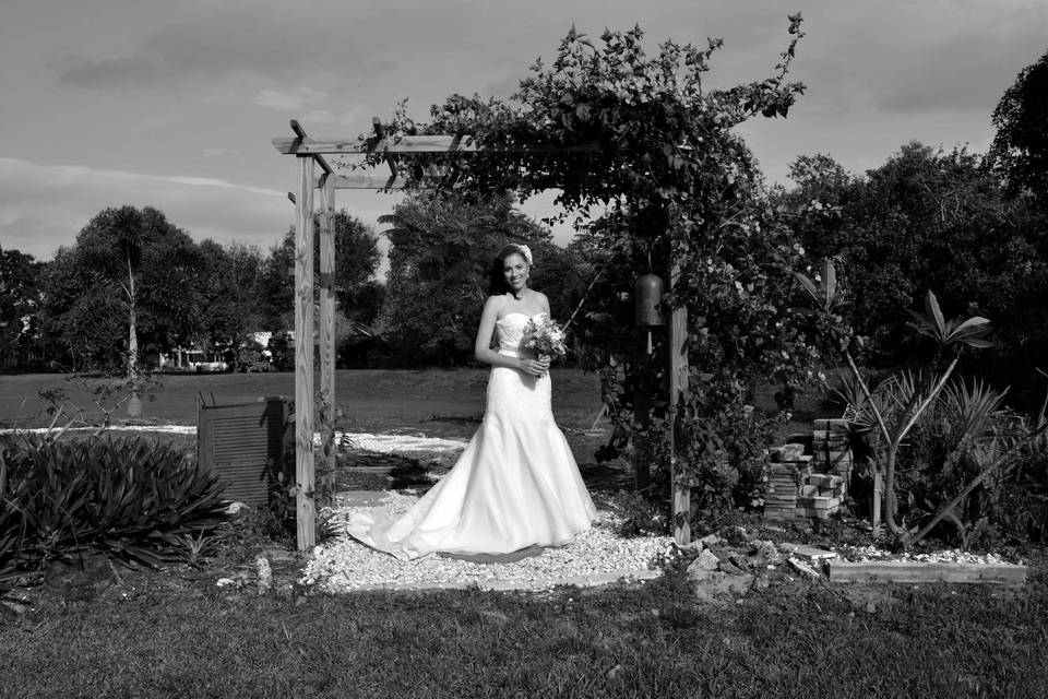HitchMe Weddings