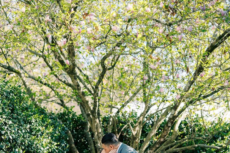 Secret Garden