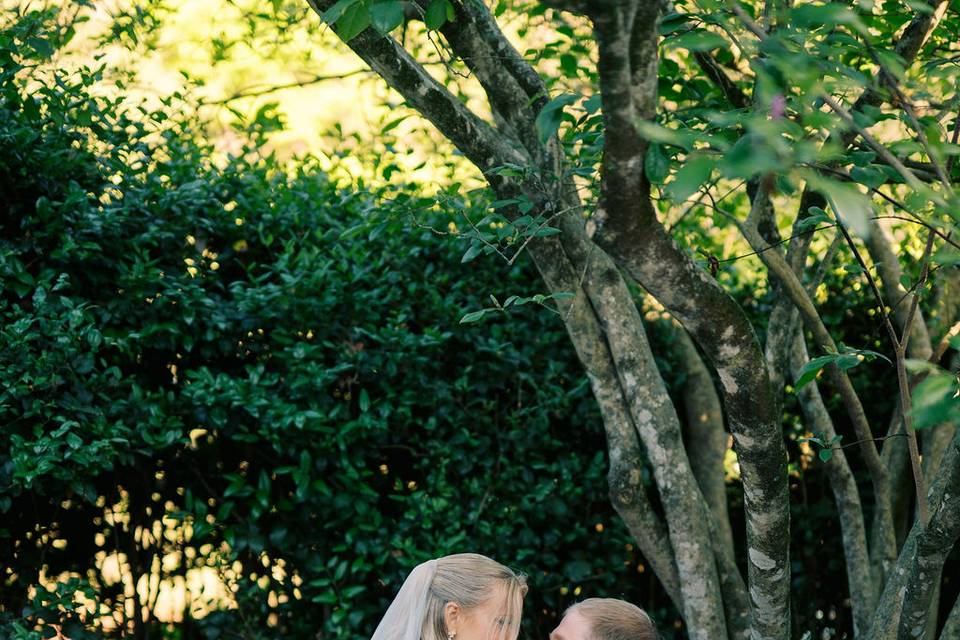 Secret Garden
