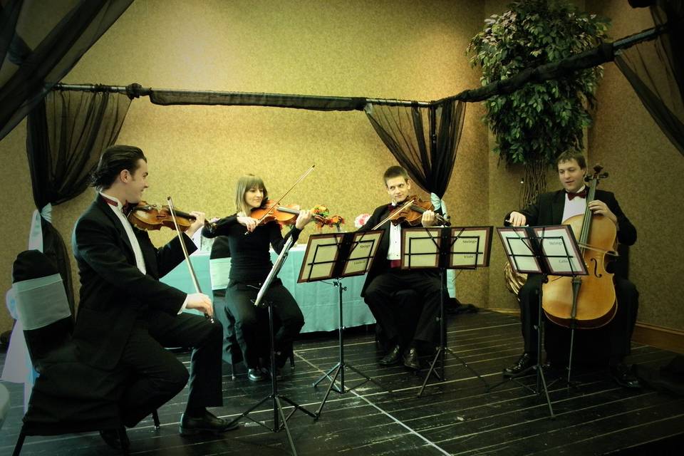 Millenius Strings